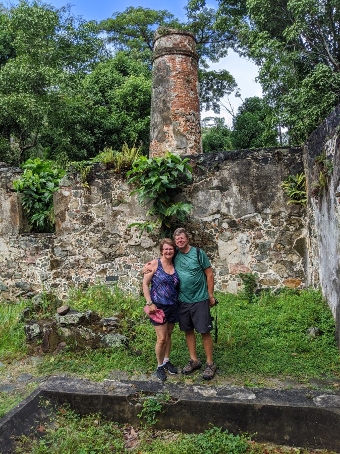 Iguanas in Trees&nbsp;2.0