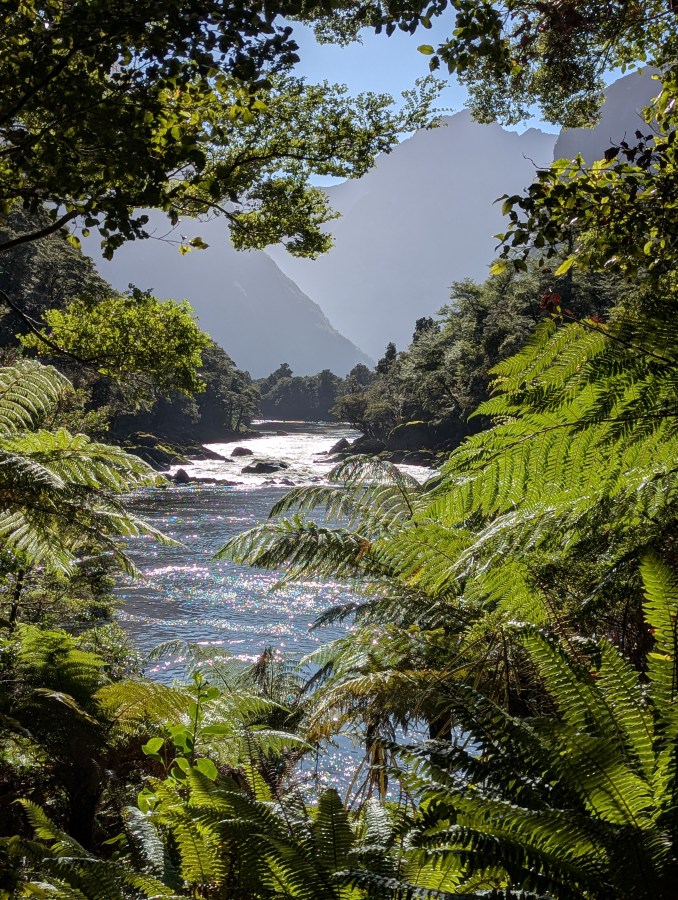 New Zealand: the South Island (In Two or Three Parts, Part&nbsp;1)