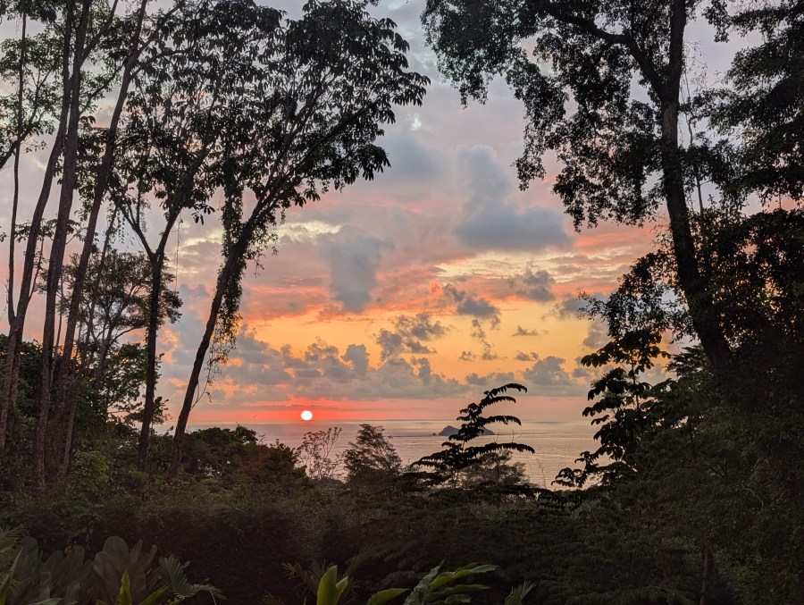 Bahama Babies and Pura Vida in Costa Rica 